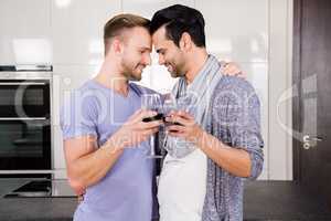 Smiling gay couple toasting with red wine