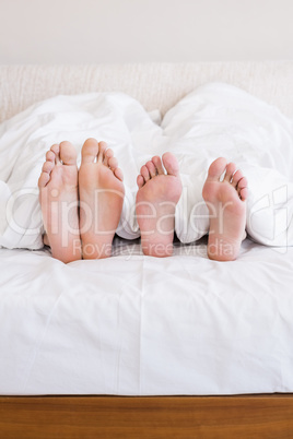 Bare feet of gay couple out from the blanket