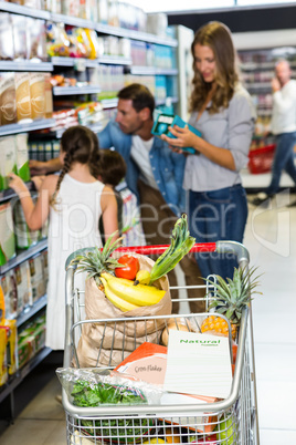 View of filled shopping cart