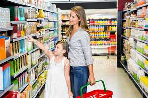 Mother and daughter doing grocery shopping