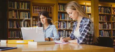 Attractive students working in library