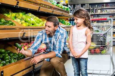 Father and daughter doing shopping