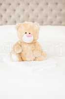 A soft teddy bear