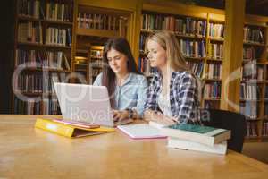 Serious students using laptop