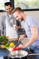 Smiling gay couple preparing food