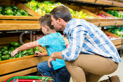 Father and son doing shopping