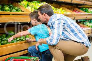 Father and son doing shopping