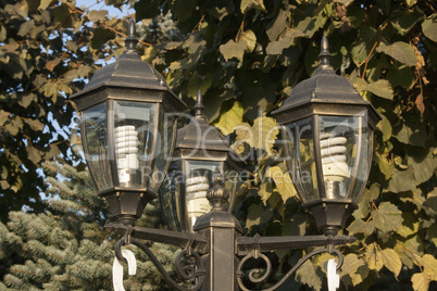 Street lights in the park