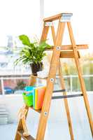 Ladder used as shelf in office