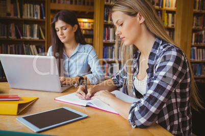 Serious student working at library