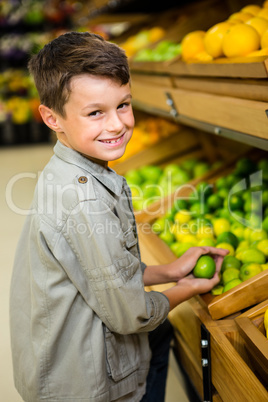 Cute boy picking a lemon