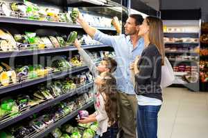 Cute family choosing groceries together