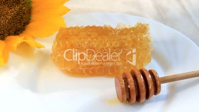 fresh honey with wooden dipper, honeycomb and sunflower
