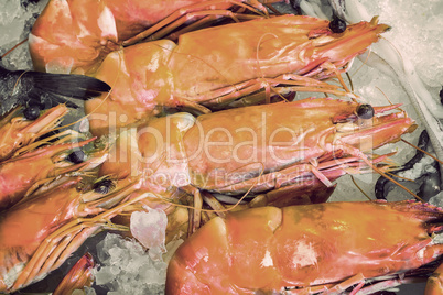 Large Mediterranean prawns .