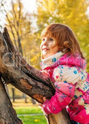 Happy child playing in the park climbing on the tree