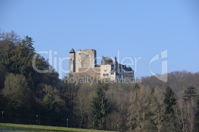 Burg Hohlenfels, Taunus