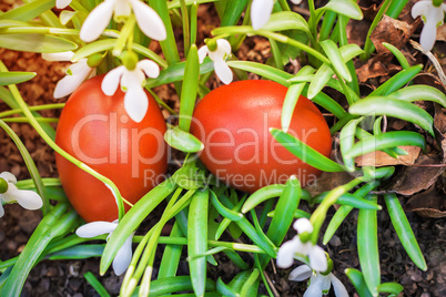 Two Easter eggs and snowdrops.