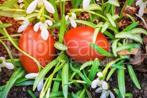 Two Easter eggs and snowdrops.
