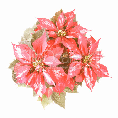 Retro looking Poinsettia Christmas Star