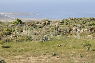 lanzarote