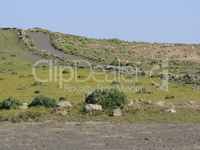 lanzarote