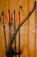 Professional bow with a set of arrows