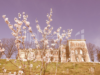 Castello di Rivoli, Italy vintage