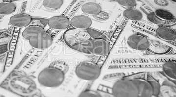 Black and white Dollar coins and notes