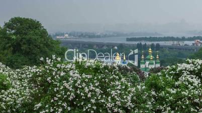 Botanical garden in Kyiv