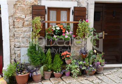 Blumenfenster in Bale, Istrien, Kroatien