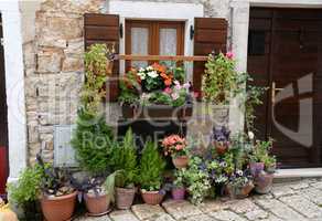 Blumenfenster in Bale, Istrien, Kroatien