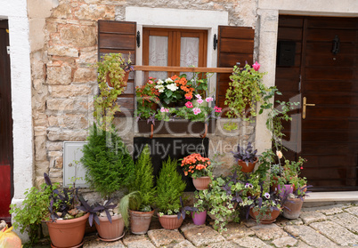 Blumenfenster in Bale, Istrien, Kroatien