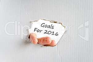 Goals for 2016 text concept