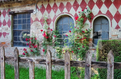 Grazzano Visconti Rosenzaun - Grazzano Visconti fence and roses 02