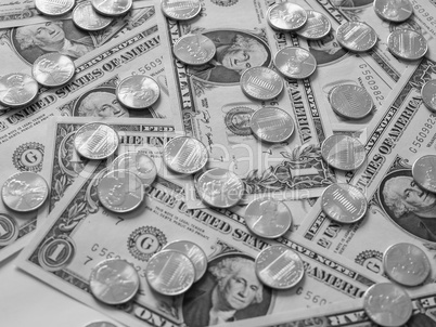 Black and white Dollar coins and notes Black and white Dollar coins and notes