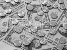 Black and white Dollar coins and notes