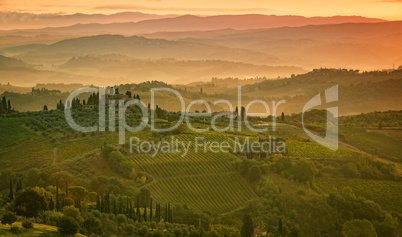 Fields in Tuscany