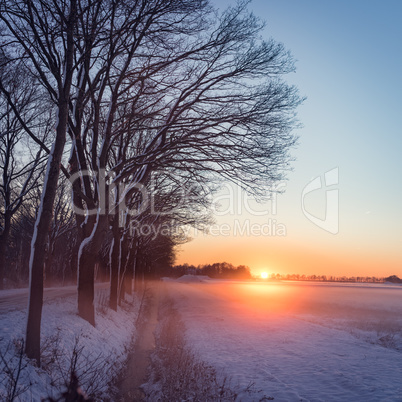 winter landscape with color look