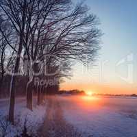 winter landscape with color look