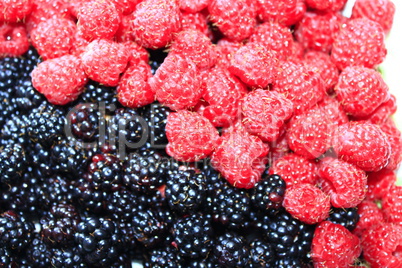 berries of blackberry and raspberry