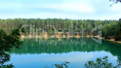 beautiful lake in the forest