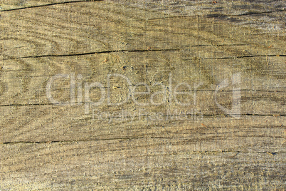 dark wooden texture