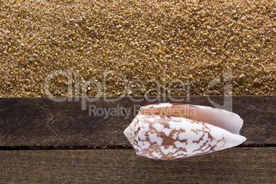 Background with beach sand