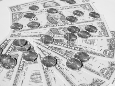 Black and white Dollar coins and notes Black and white Dollar coins and notes