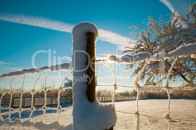 winter landscape