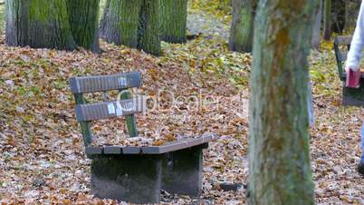 woman is reading a book on a bench in autumn