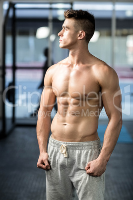 Fit muscular man posing shirtless