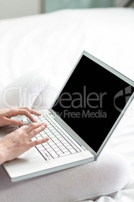 Feminine hands typing on laptop