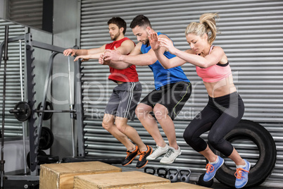 Fit people doing exercises with box