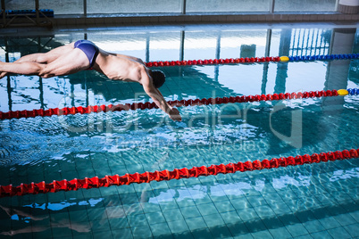 Fit man diving